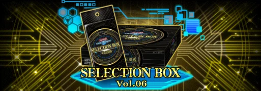Vol.06