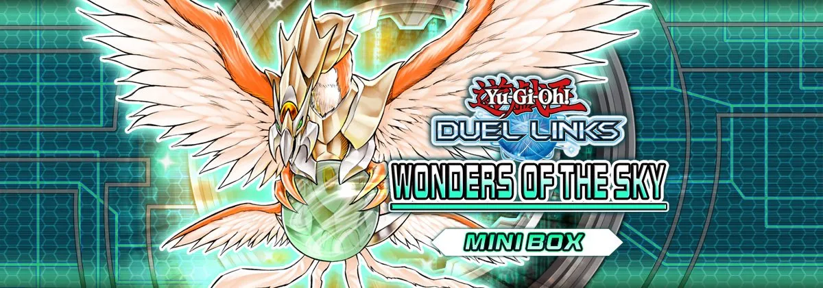 Wonders of the Sky