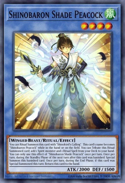 Shinobaron Shade Peacock