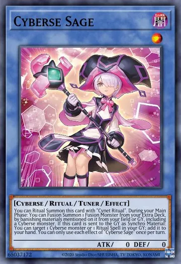 Cyberse Sage