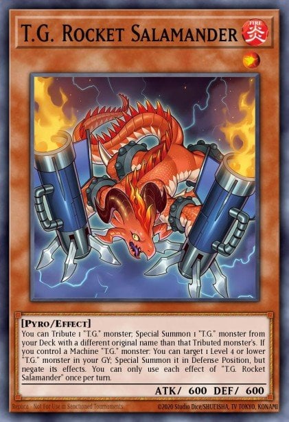 T.G. Rocket Salamander