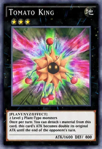 Tomato King