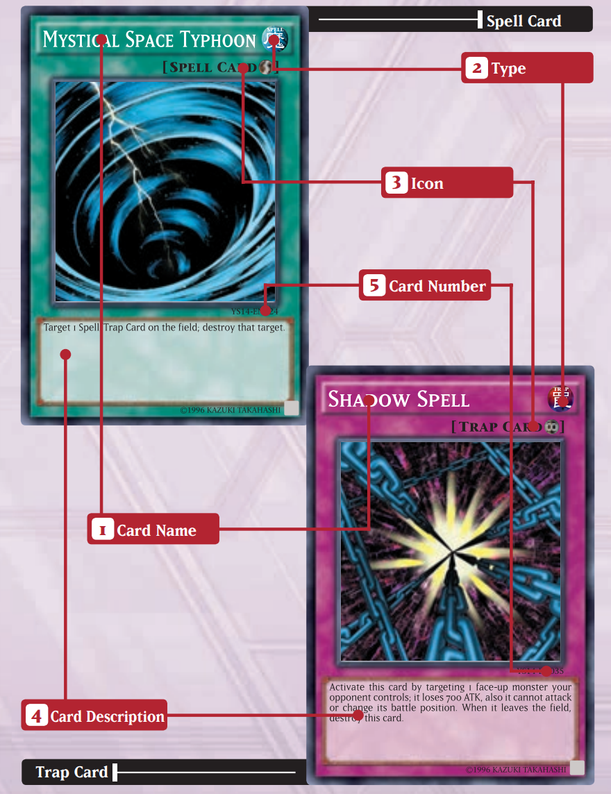 Spell & Trap Card - Spell & Trap Card