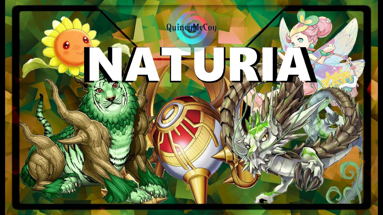 Instructions for Playing Naturia