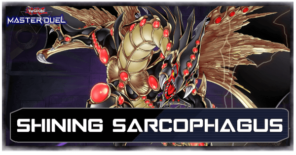 Shining Sarcophagus Gameplay Guide