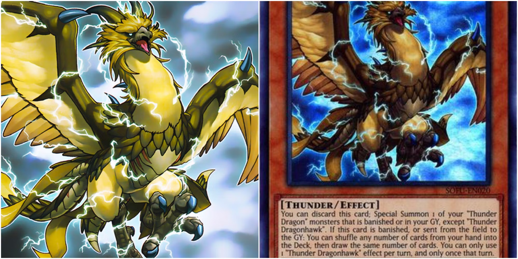 Instructions for building and playing Thunder Dragon - TCG