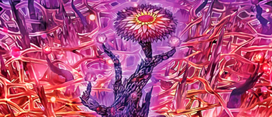 Quick guide on how to play Numeron