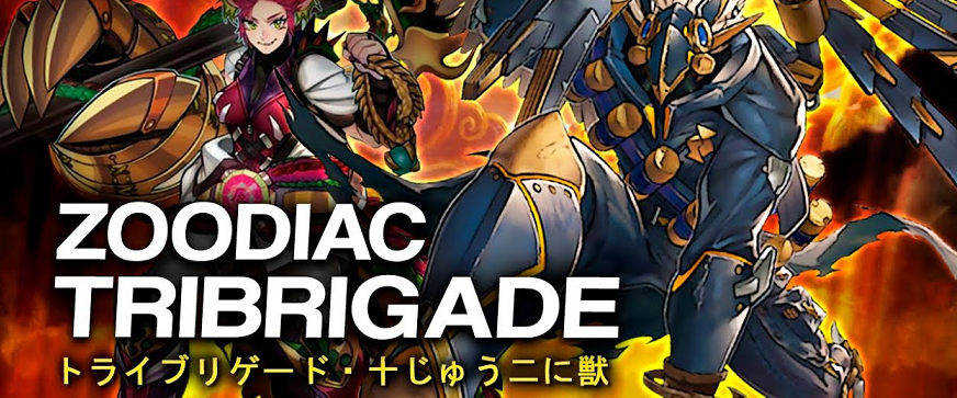 Instructions for playing Tri-Brigade ft Zoodiac