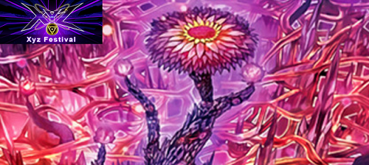 Instructions for playing and building Numeron - Ver Xyz Festival (Master Duel)