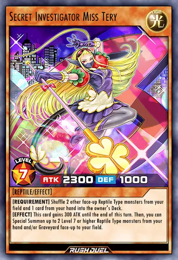 Elite Secret Investigator Miss Tery