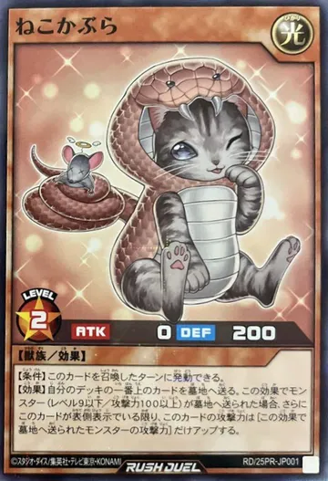 Cat in Cobra's Clothing