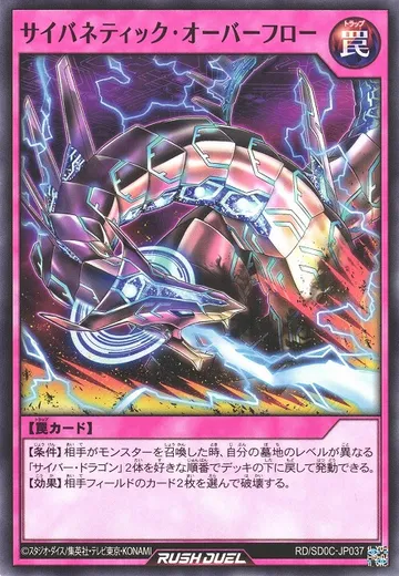 Cybernetic Overflow