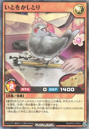 Grace Bird