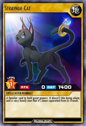 Straynge Cat