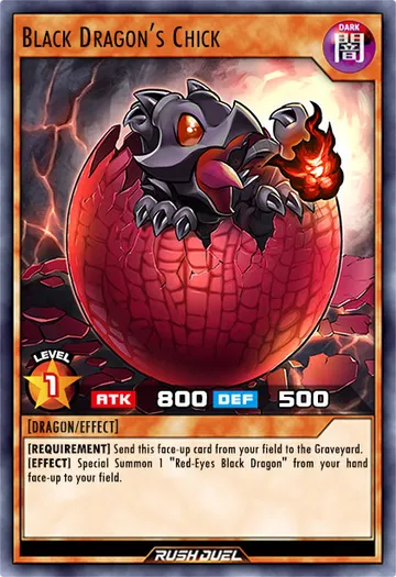 Black Dragon's Chick