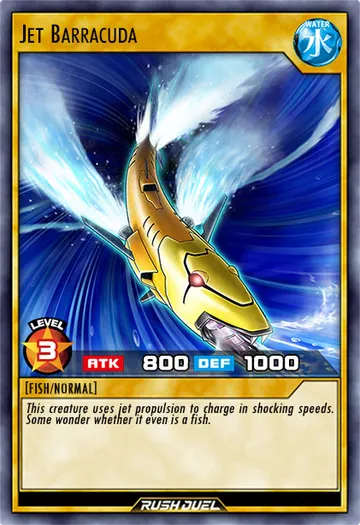 Jet Barracuda