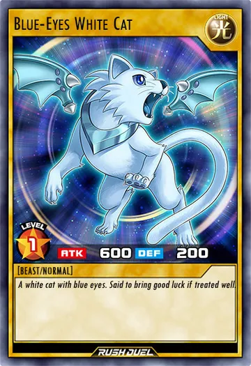 Blue-Eyes White Cat