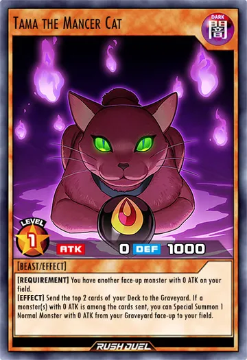Tama the Mancer Cat