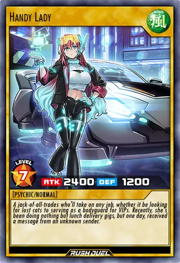 Handy Lady