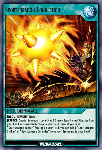 Sportsdragon Connection