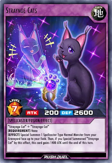 Straynge Cats