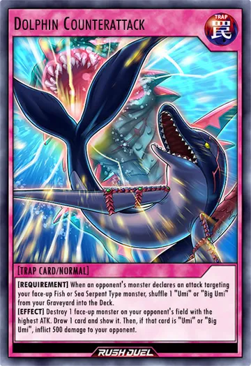 Dolphin Counterattack