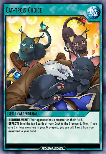 Cat-trois Choice