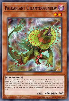 Predaplant Chlamydosundew